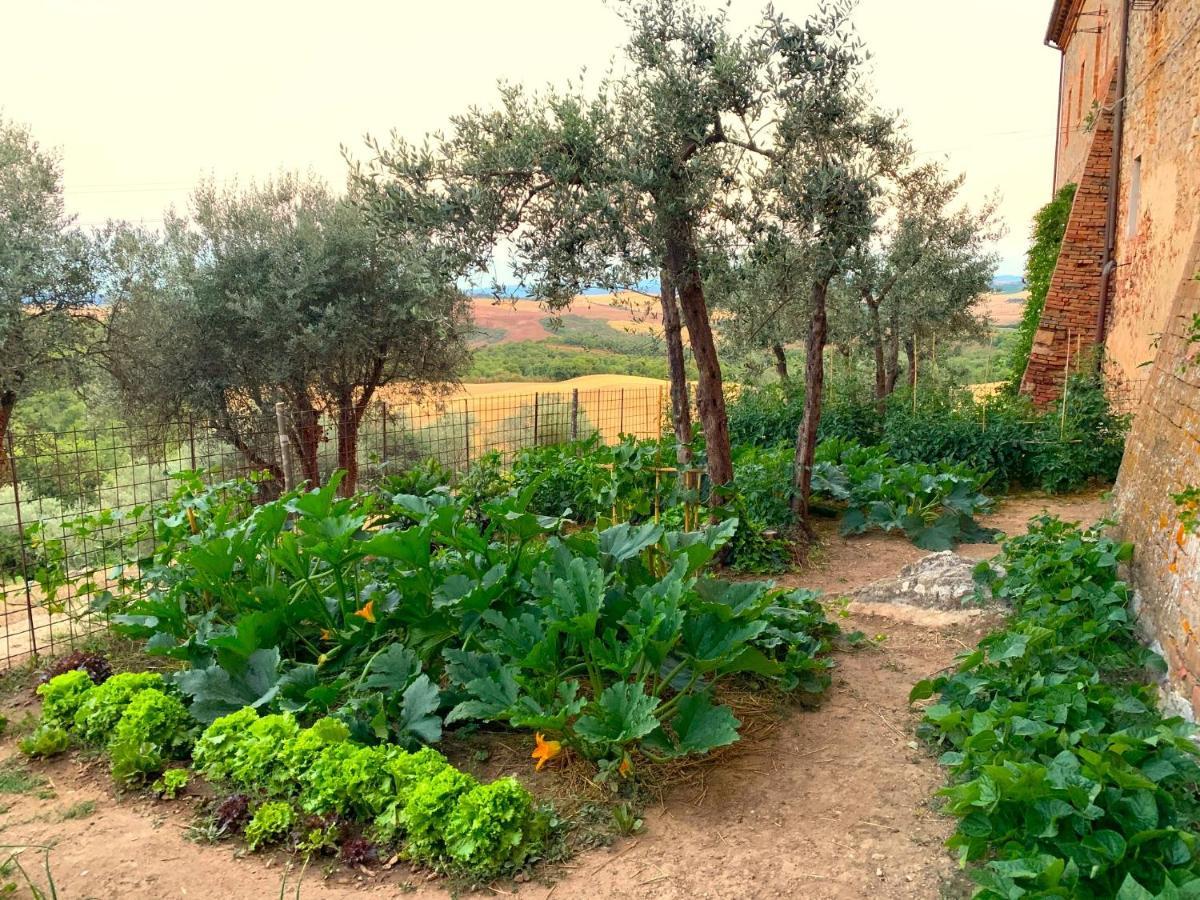 Farm stay Monastero Sant'anna In Camprena *